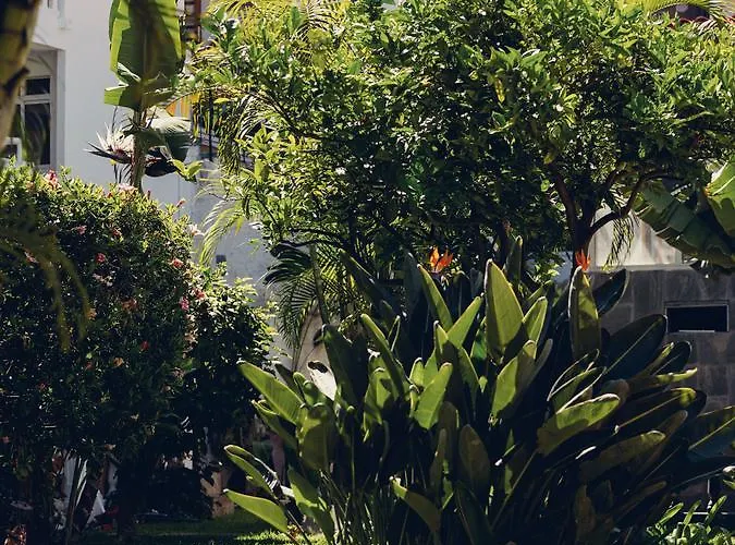 Route Active Hotell Los Realejos