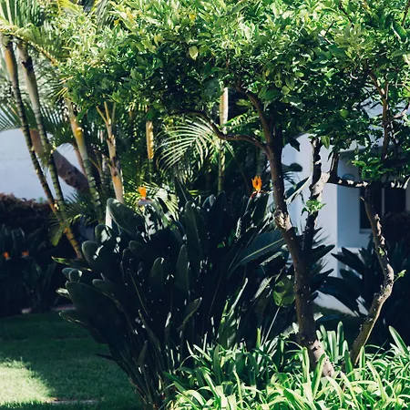 Route Active Hotel Los Realejos