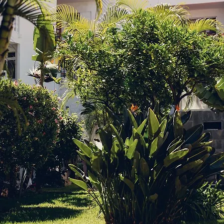 Route Active Hotell Los Realejos